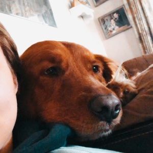 Meet your Posher, Dara